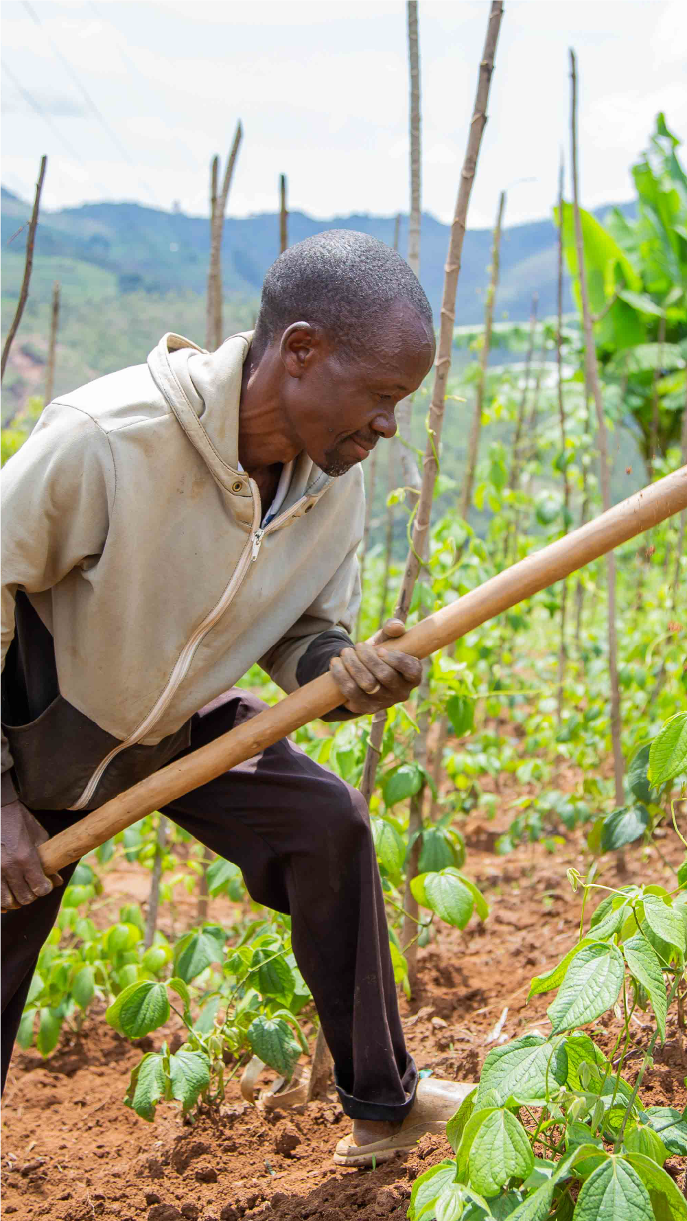 Hope Grows from The Groung Up