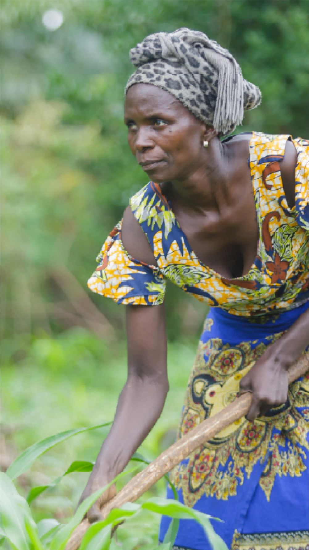Uvira's Land Restoration Warriors