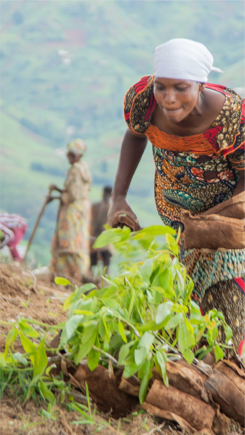 RESTORATION BUSINESS THAT HEAL THE EARTH