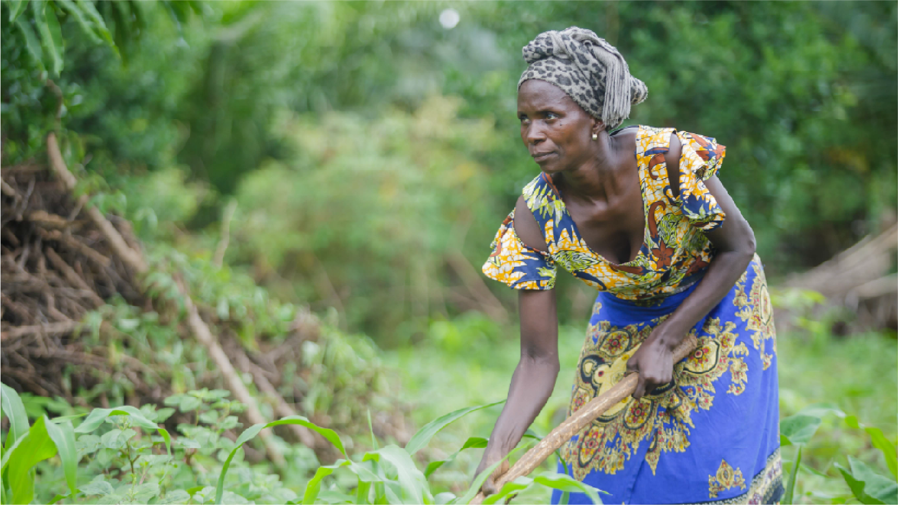 video-section-banner-image