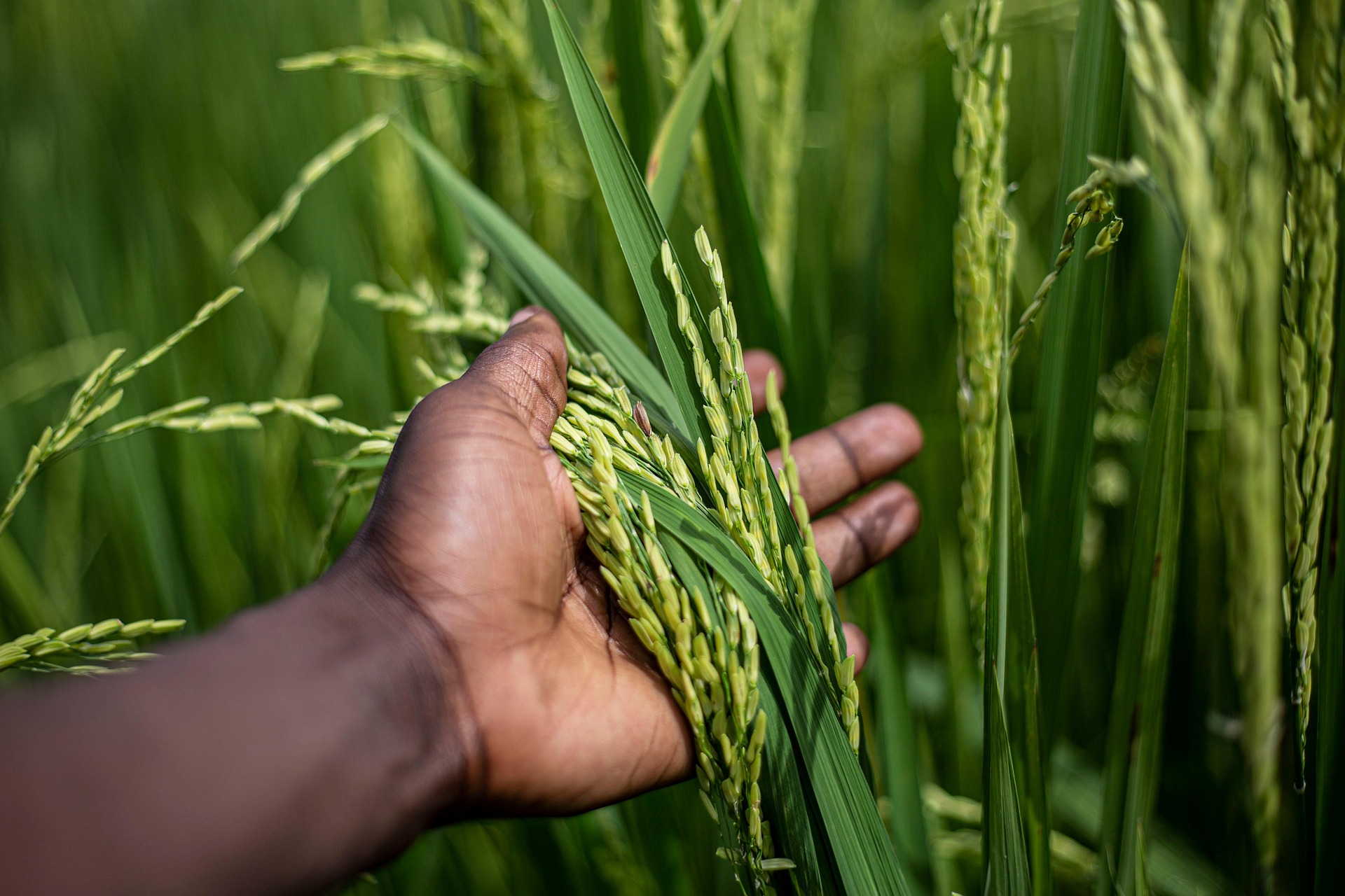 video-section-banner-image